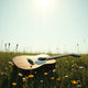 Rust Prairie